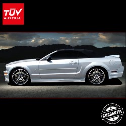 SHELBY Radical trunk spoiler for 5th gen. Ford Mustang 06-14